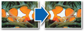 A photo mirrored and flipped